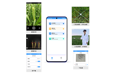 克孜勒苏柯尔克孜自治州小麦亩穗数…